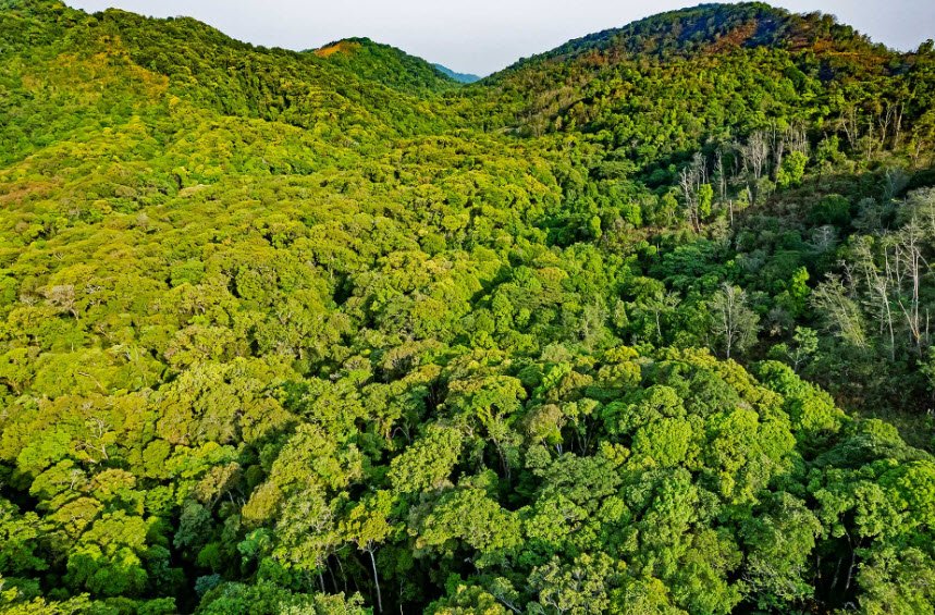 Murlen National Park, Champhai, Mizoram - Vushii.com Murlen National Park, Champhai, Mizoram - Vushii.com